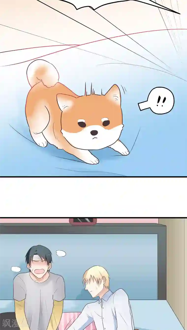 请别偷亲我第50话 更进一步