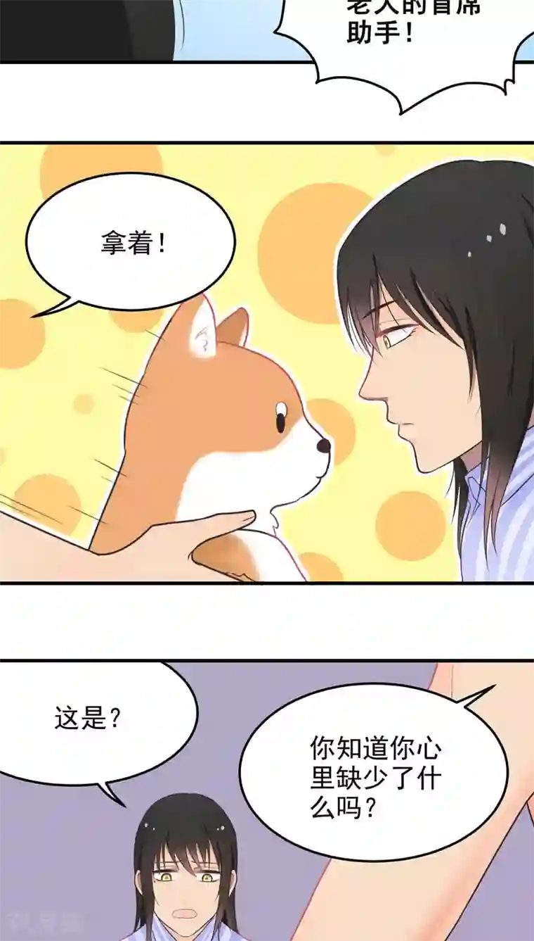 请别偷亲我第56话 爱