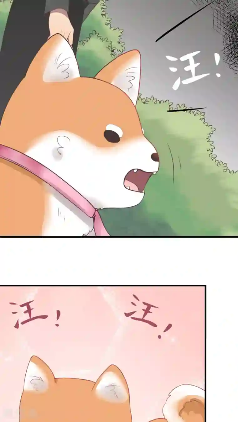 请别偷亲我第58话 混乱