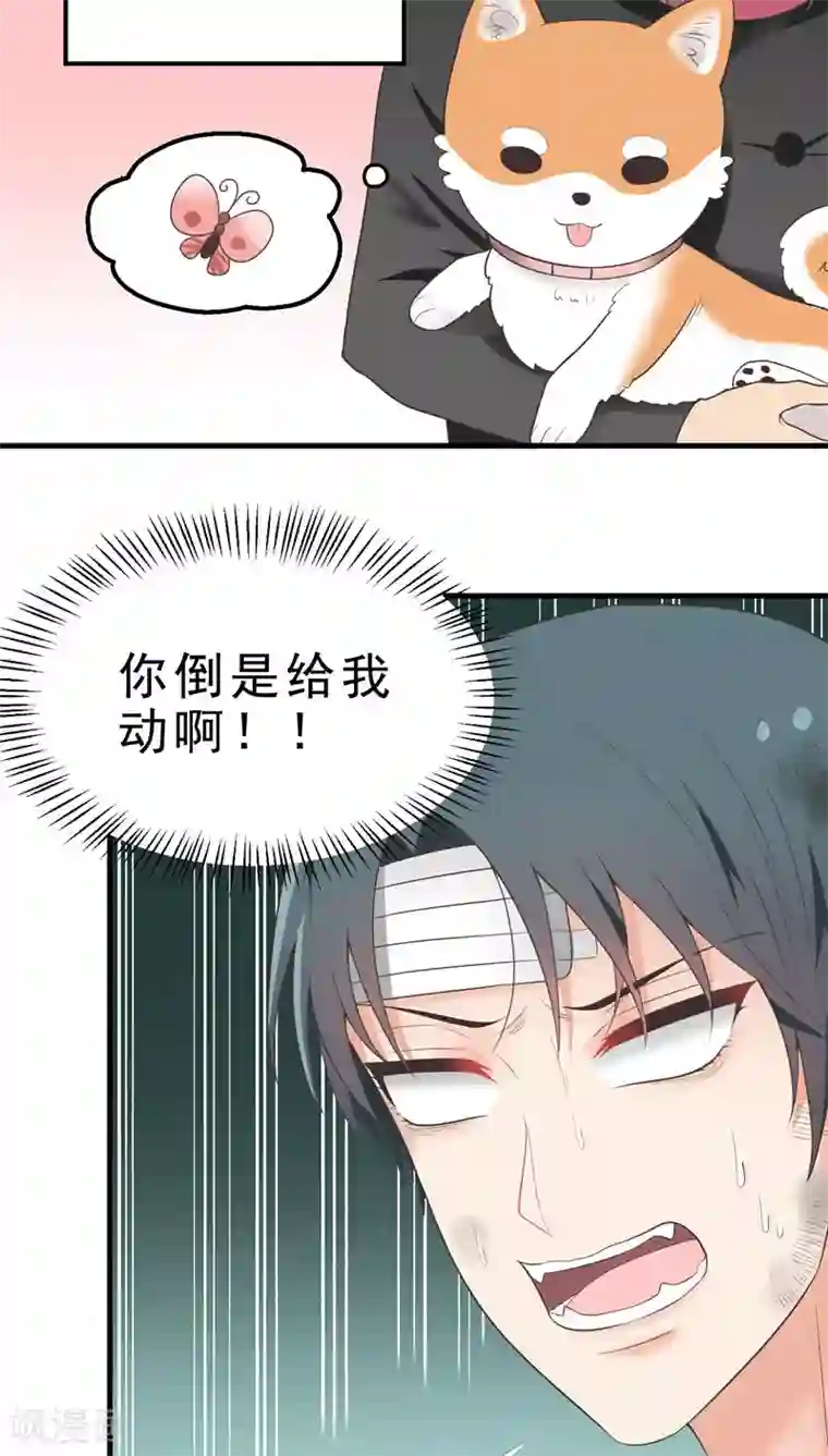 请别偷亲我第62话 放手一搏