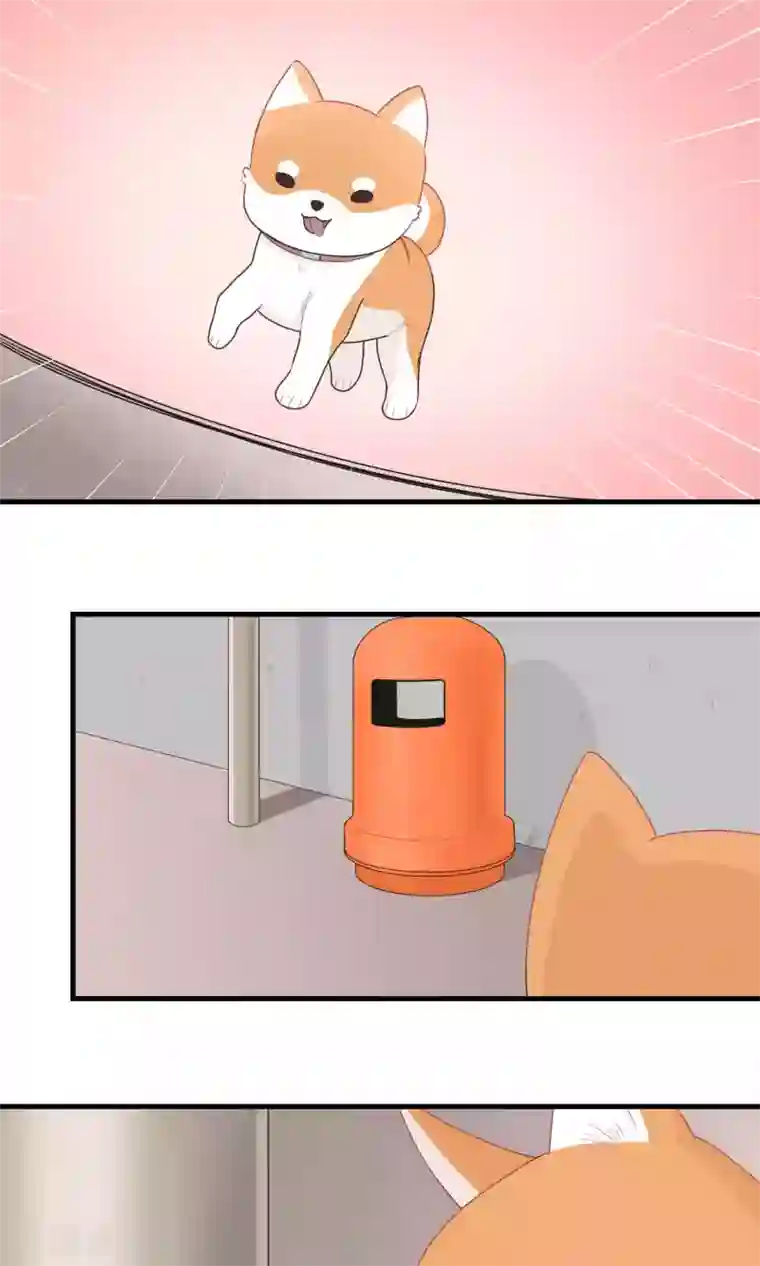 请别偷亲我第123话 开窍