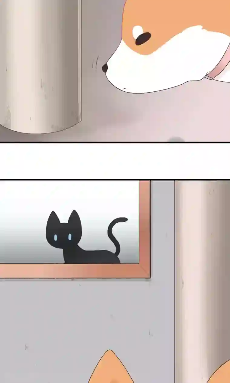 请别偷亲我第123话 开窍