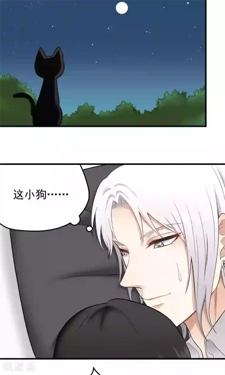 请别偷亲我第131话 爱粘人的小狗