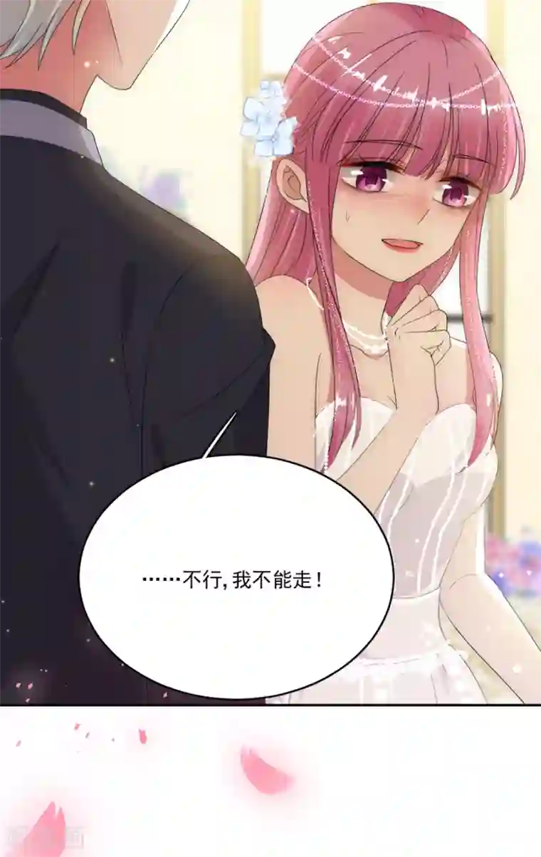 完美老公进化论第74话 抢亲