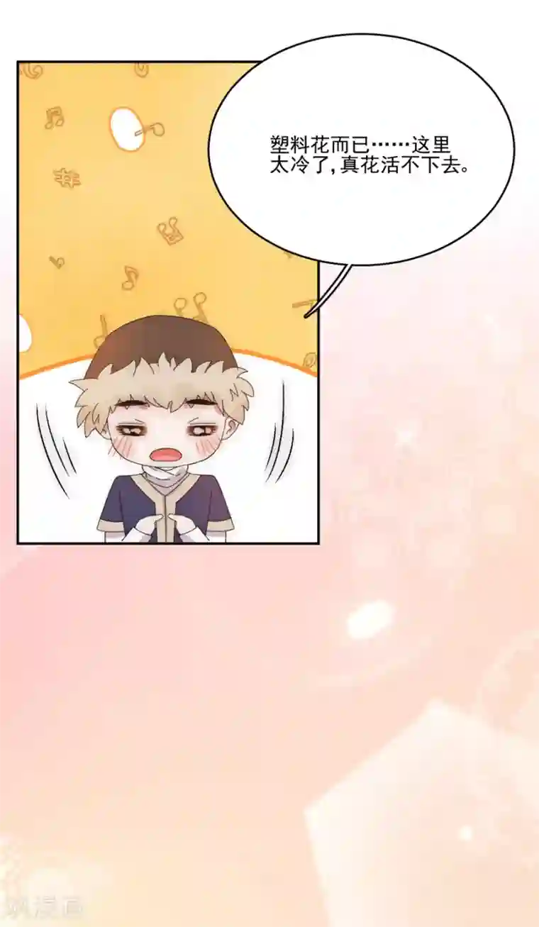 完美老公进化论第98话 告诉我你的目的