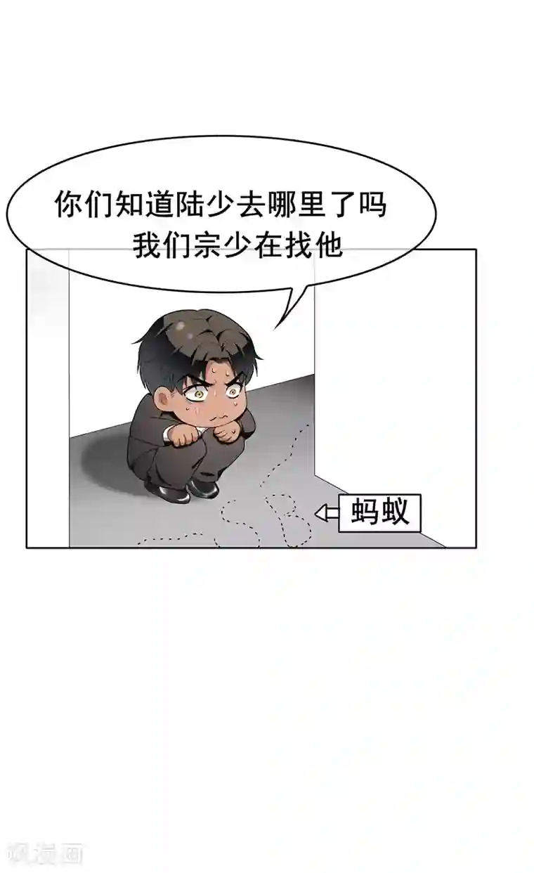 纯情陆少第13话 遇见美女