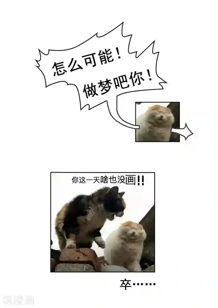 纯情陆少第31话 折腾一晚上