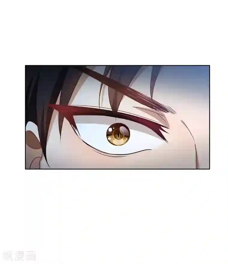 纯情陆少第35话 他又双叒叕来了！