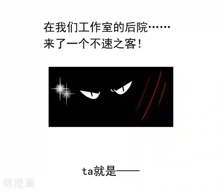 纯情陆少第35话 他又双叒叕来了！