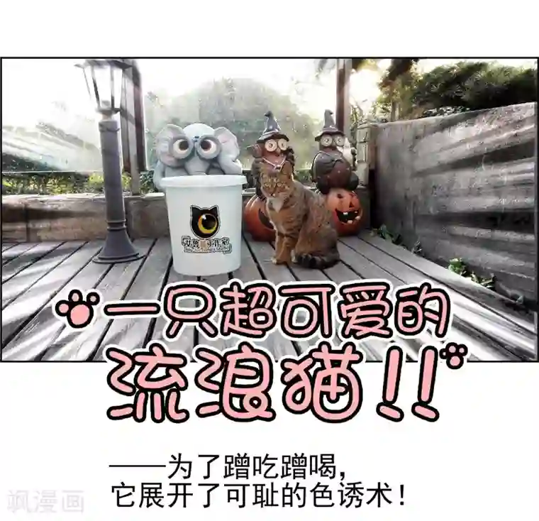 纯情陆少第35话 他又双叒叕来了！