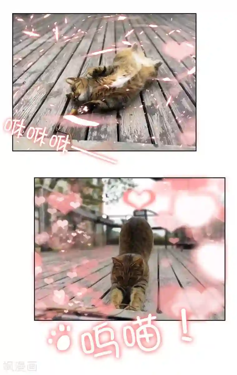 纯情陆少第35话 他又双叒叕来了！