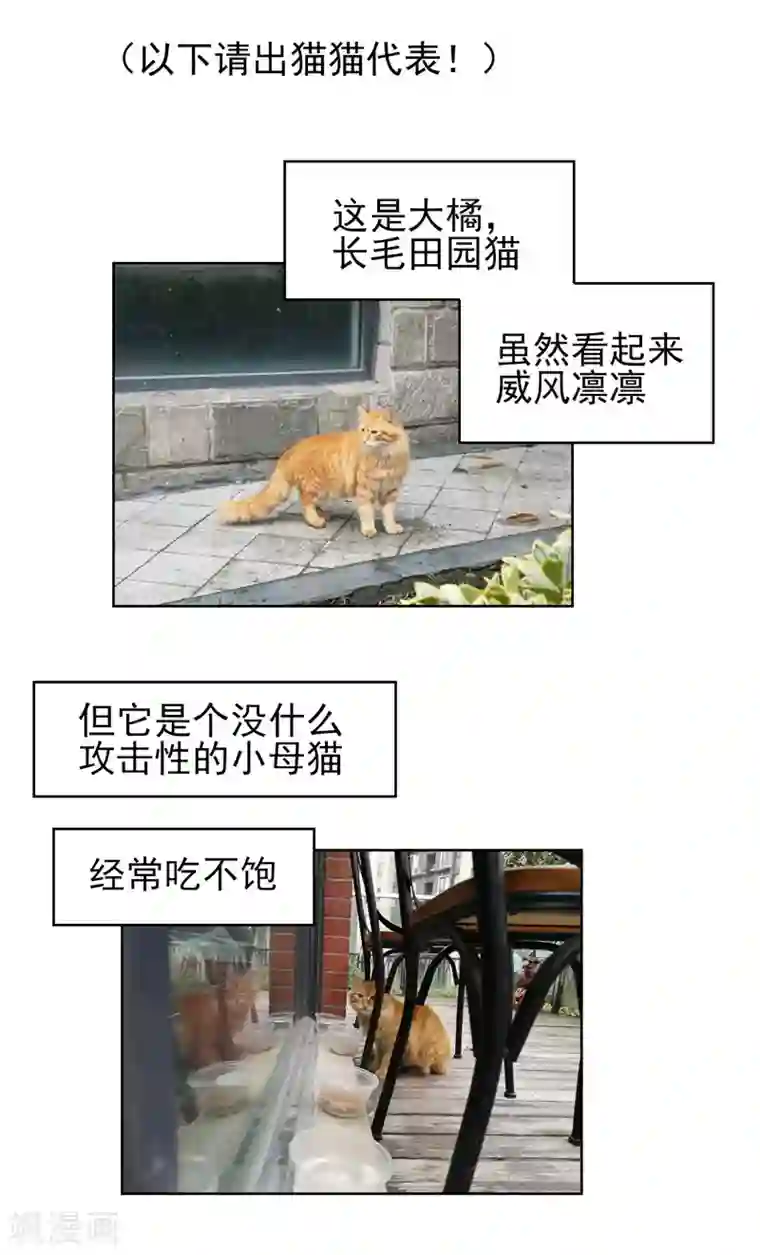 纯情陆少第40话 和解