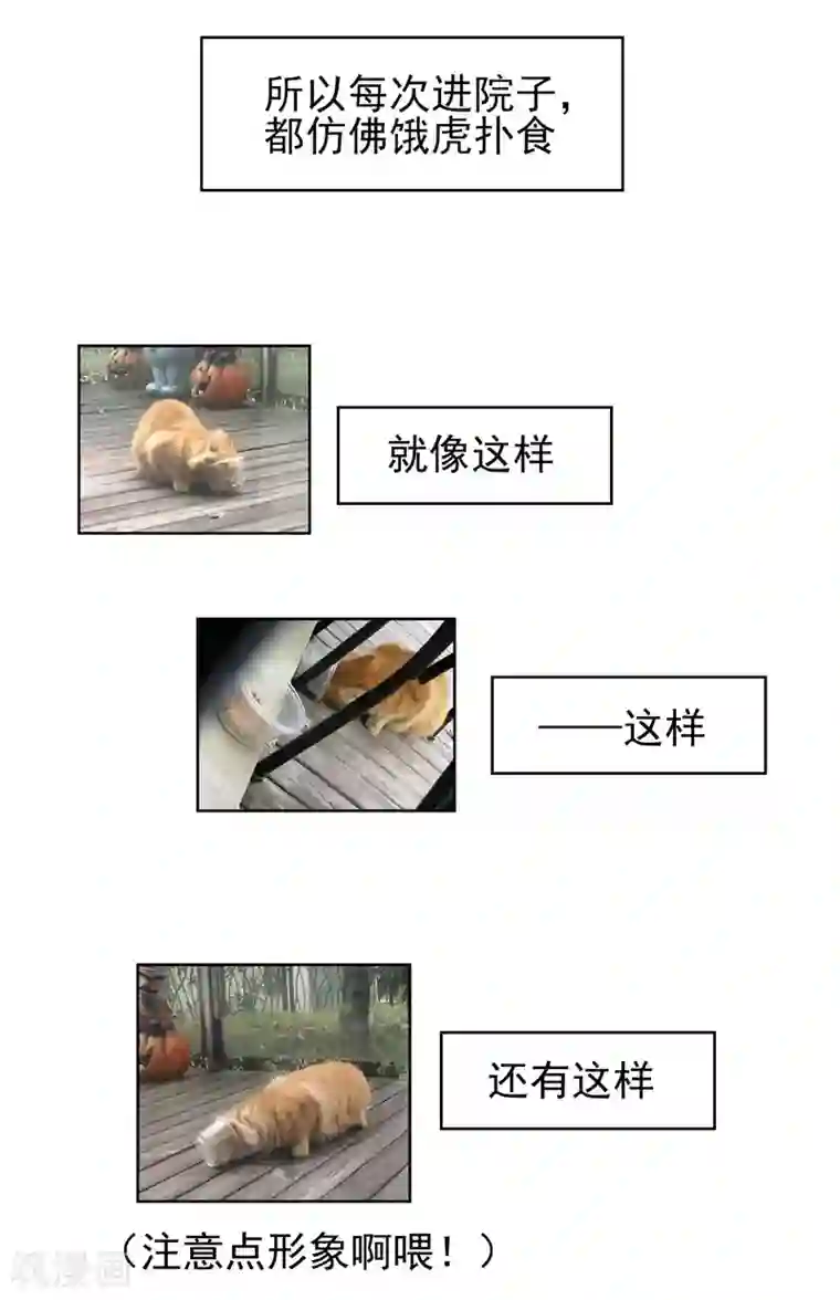 纯情陆少第40话 和解