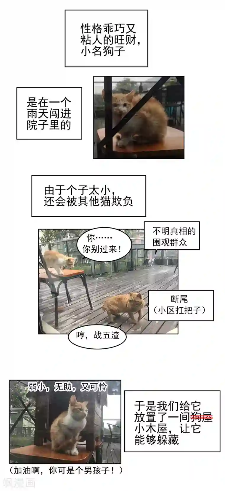 纯情陆少第40话 和解