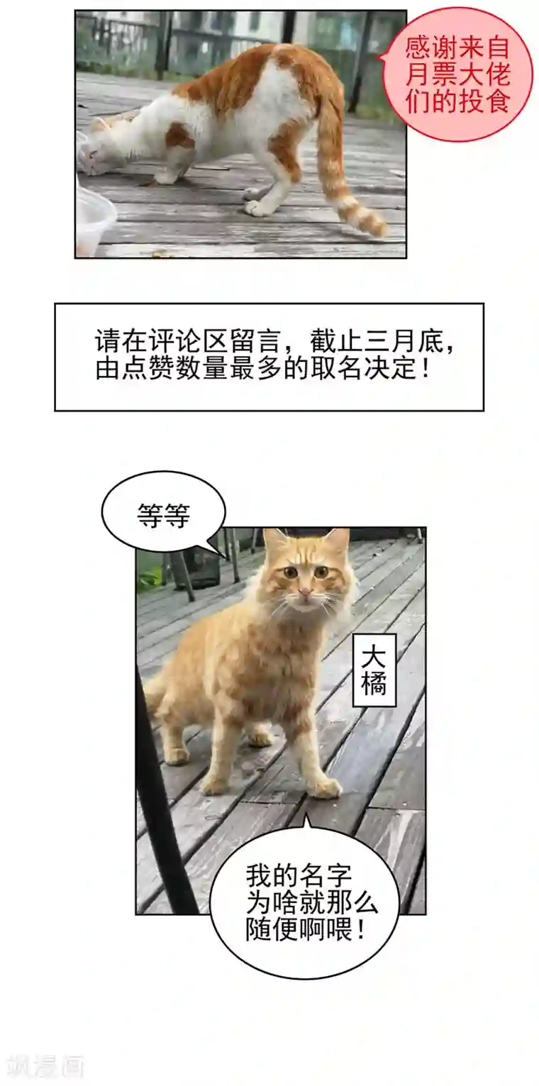 纯情陆少第41话 鱼儿上钩！