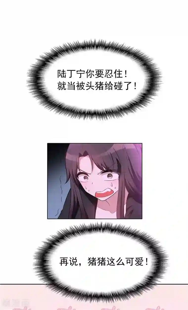 纯情陆少第42话 猪猪那么可爱！