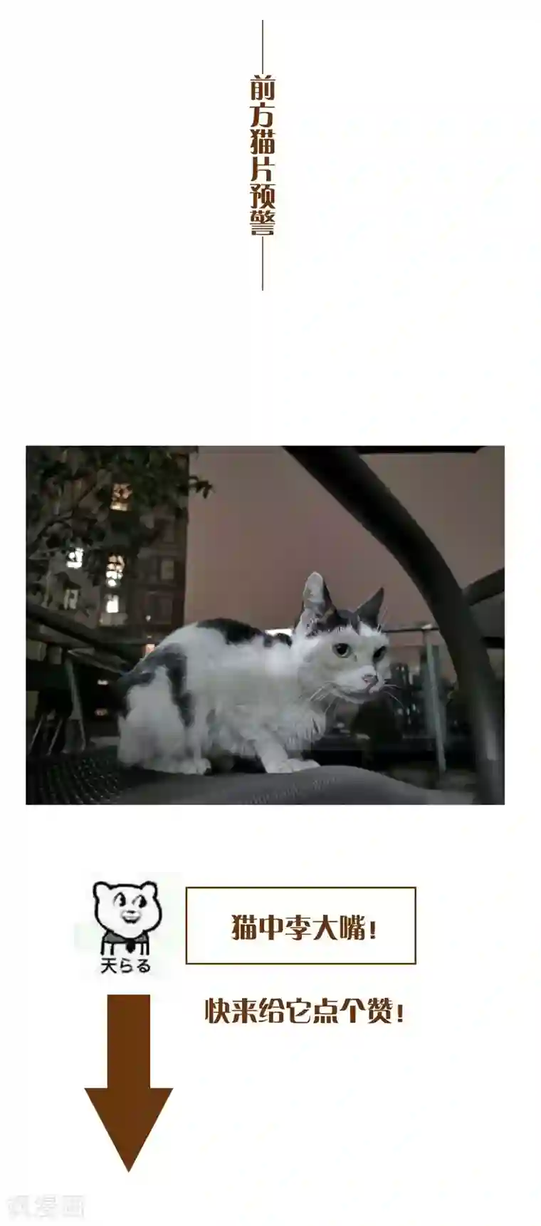 纯情陆少第46话 大猪蹄子