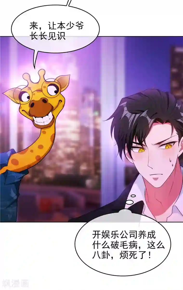 纯情陆少第46话 大猪蹄子