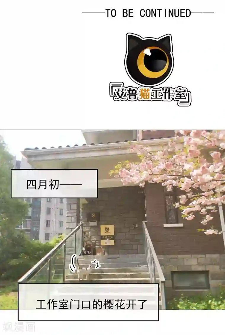 纯情陆少第52话 史密斯家族