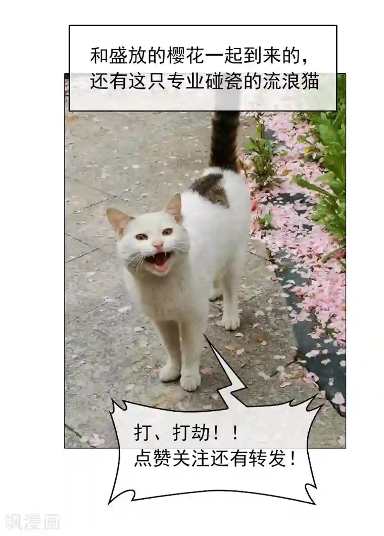 纯情陆少第52话 史密斯家族