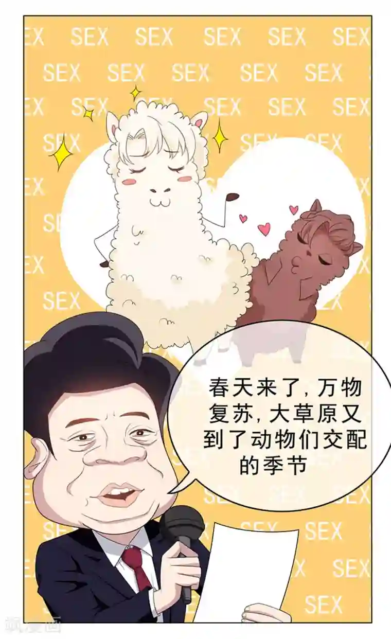 纯情陆少第65话 就是搞基不行吗