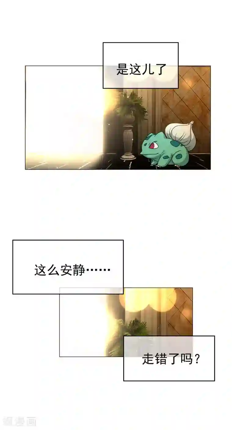 纯情陆少第73话 双喜临门？