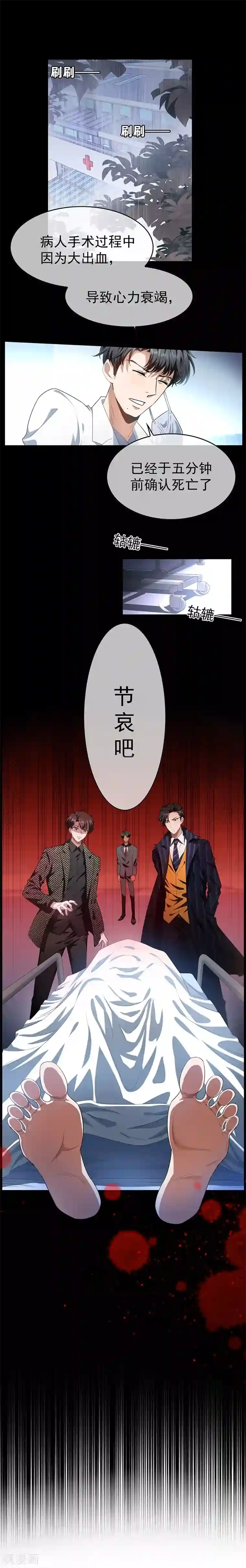 纯情陆少第82话 双胞胎？！