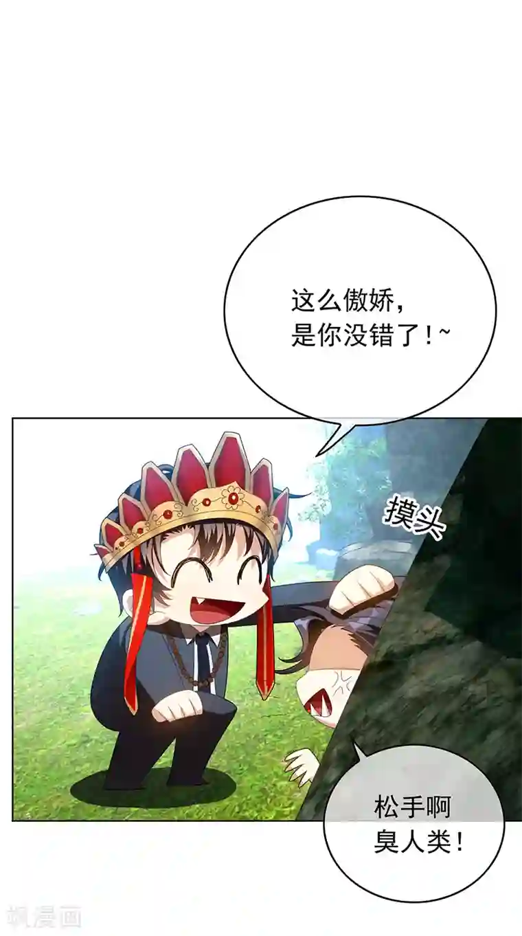 纯情陆少番外 西游篇一