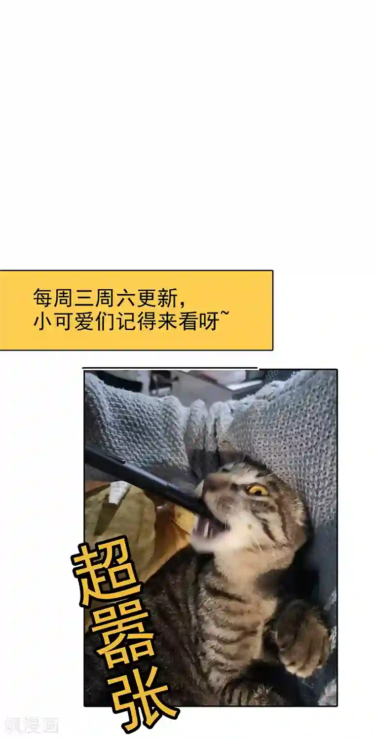 纯情陆少第104话 红烧牛肉面