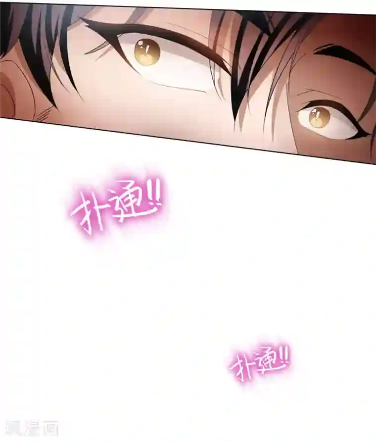 纯情陆少第109话 纯情小黑猫