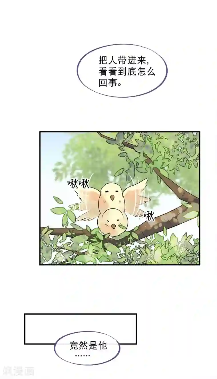 废后归来：皇上请接招第15话 朕来找你了