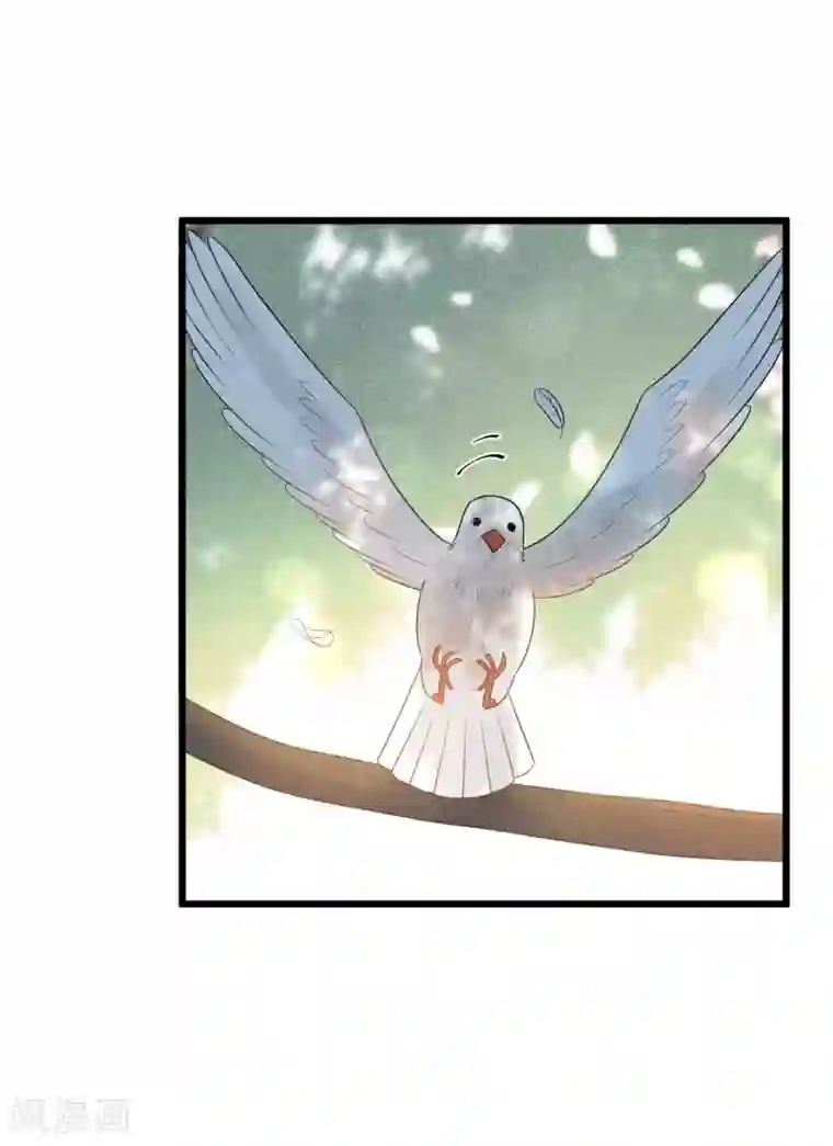 废后归来：皇上请接招第41话 注定有缘无分