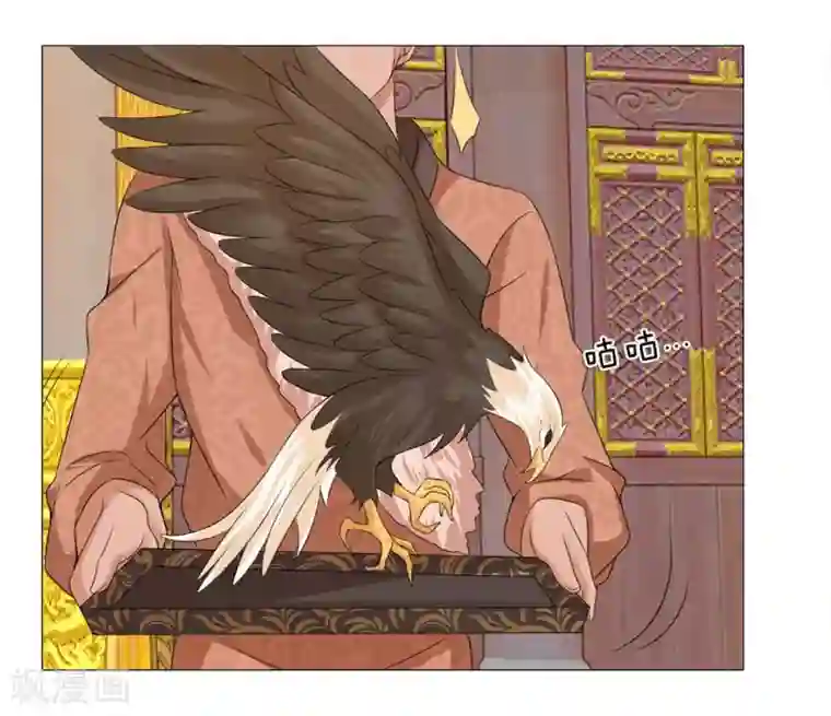 盛世帝后第65话 雄鹰展翅