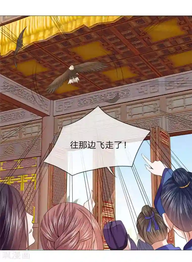 盛世帝后第65话 雄鹰展翅