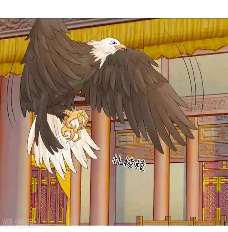 盛世帝后第65话 雄鹰展翅