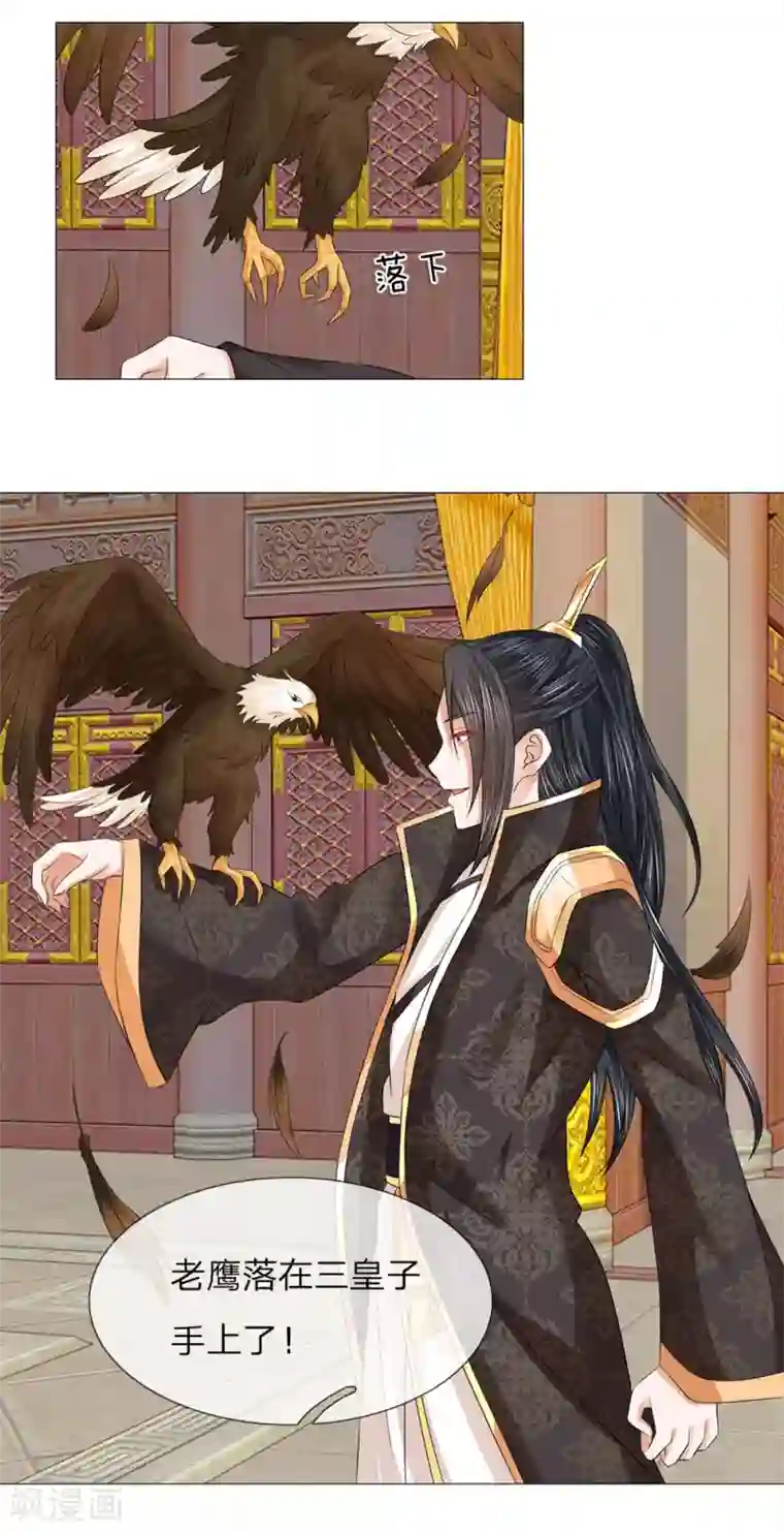 盛世帝后第65话 雄鹰展翅