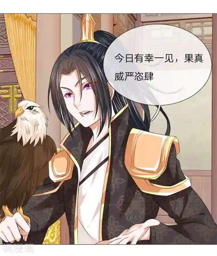 盛世帝后第65话 雄鹰展翅