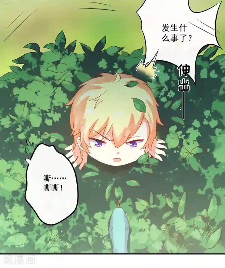 豪门强宠：季少请自重最终话 幸福