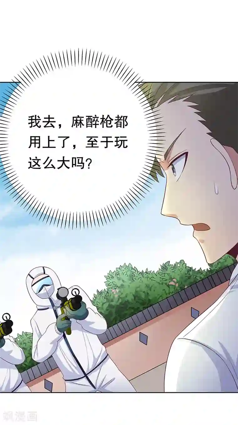 妙手狂医第10话 东城风云