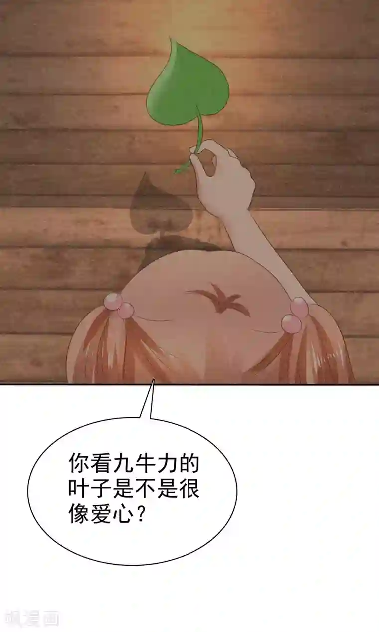 因爱宠你第27话