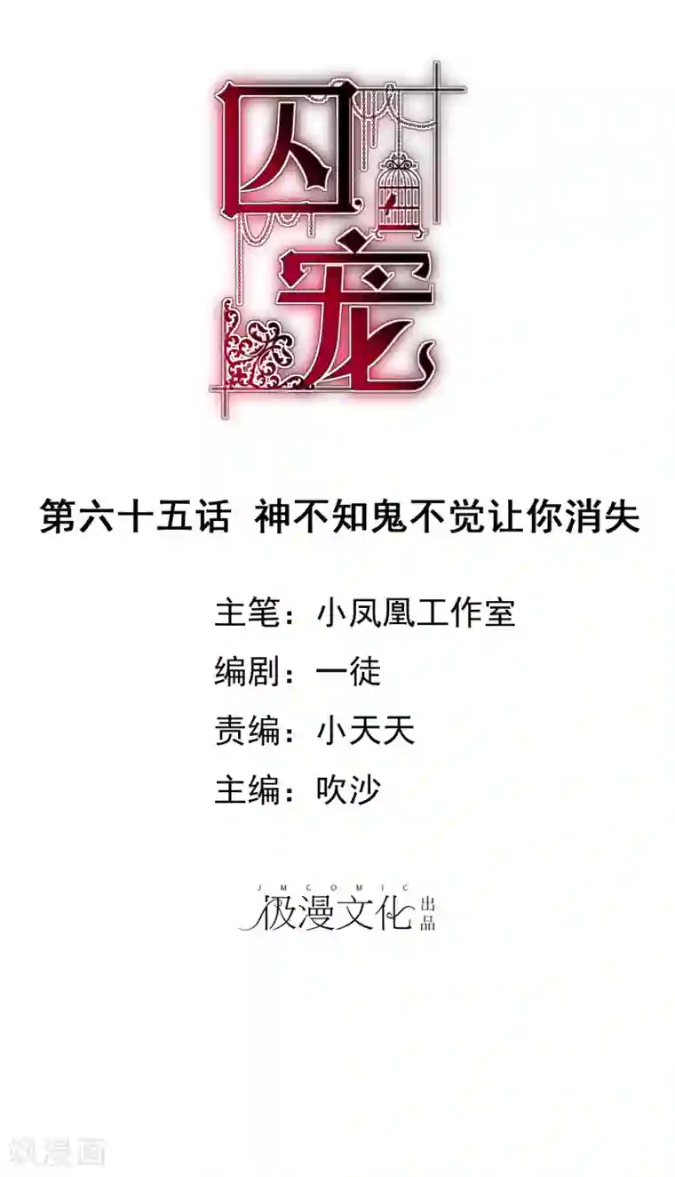 因爱宠你第65话