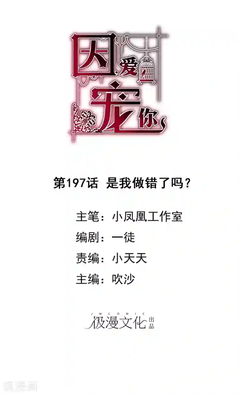 因爱宠你第197话