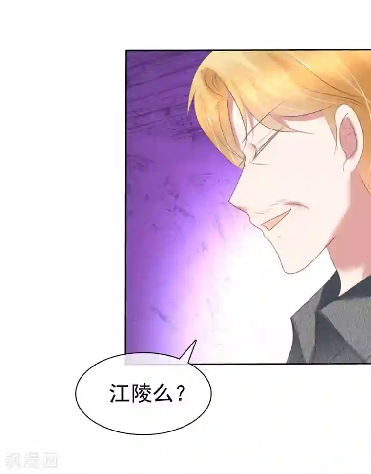 因爱宠你第202话