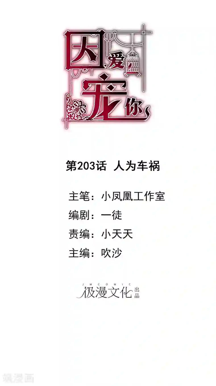 因爱宠你第203话