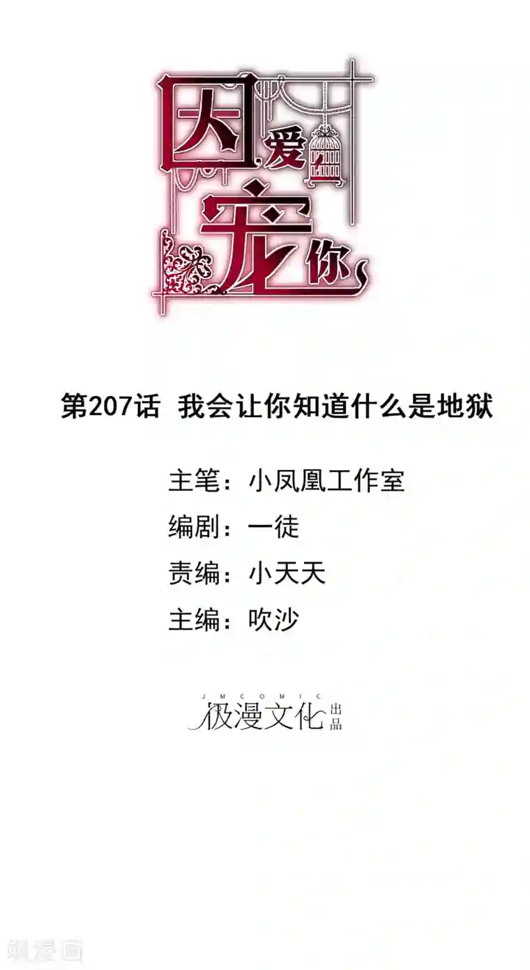 因爱宠你第207话