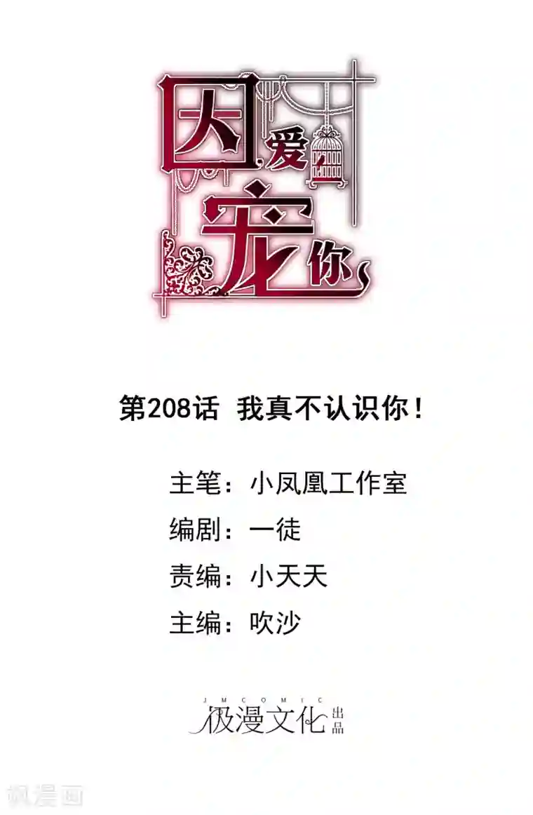 因爱宠你第208话