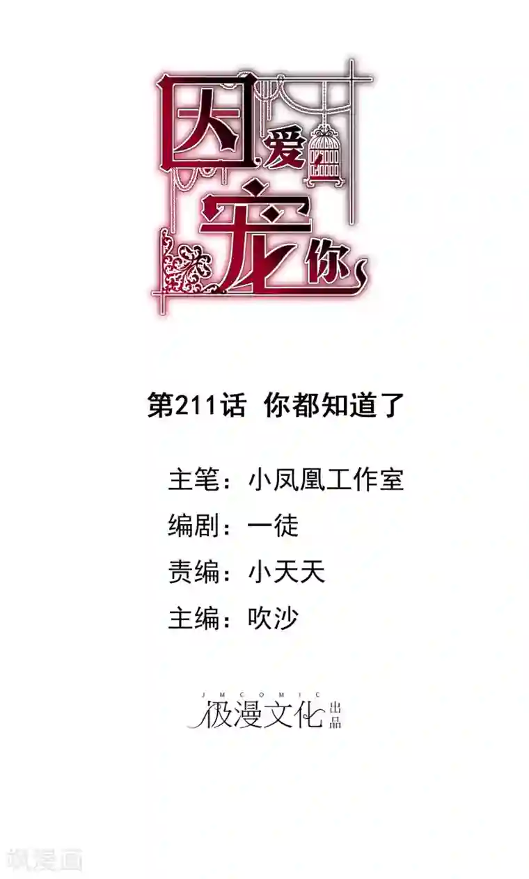 因爱宠你第211话