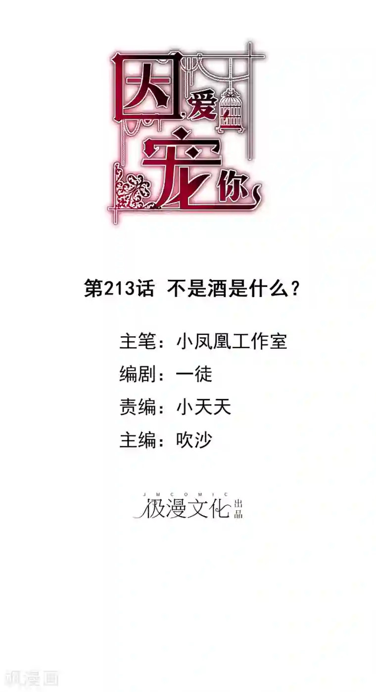 因爱宠你第213话