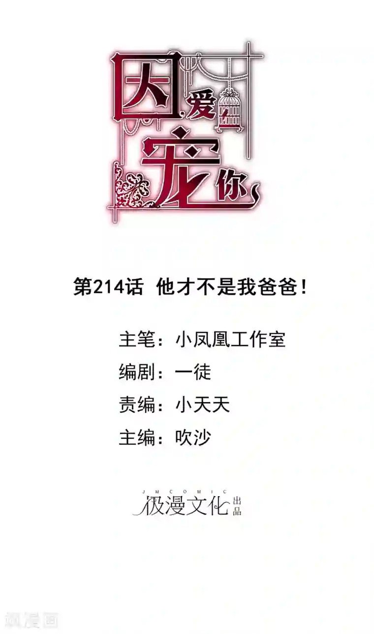 因爱宠你第214话