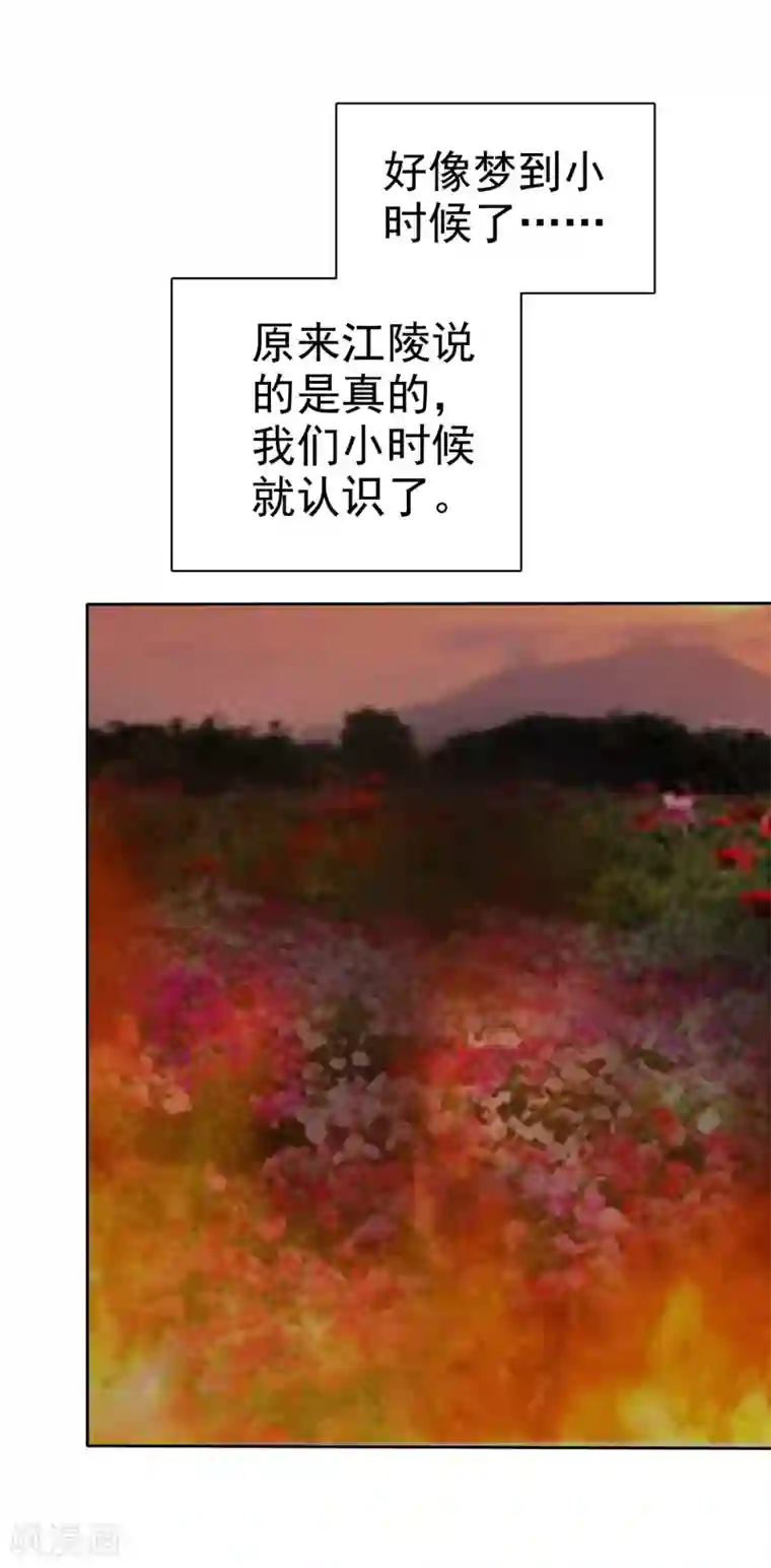 因爱宠你第214话